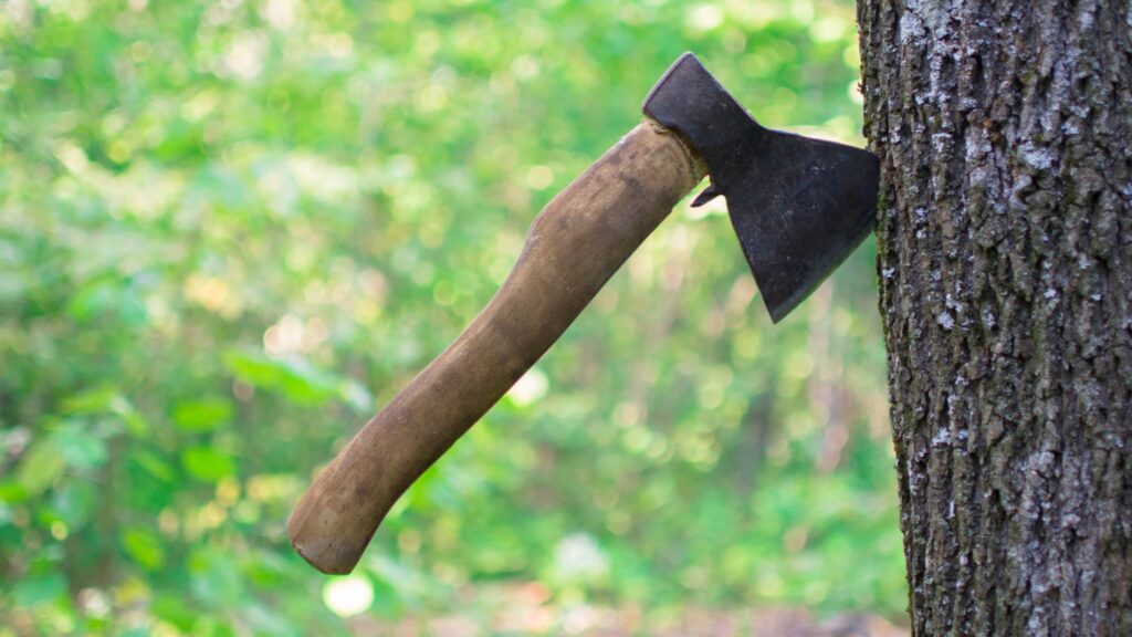 An axe stuck in side of a tree.
