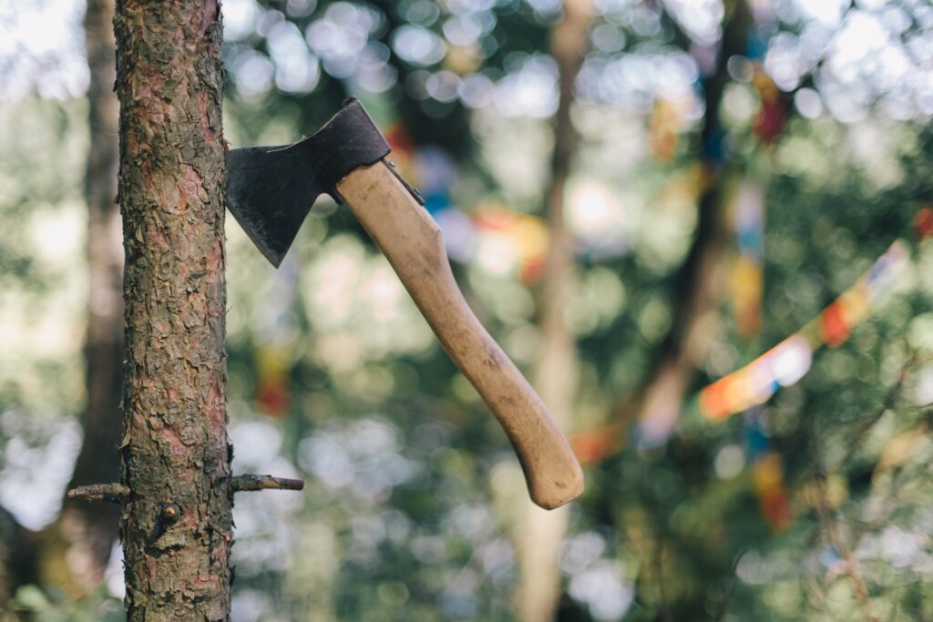 Axe sticking out of the side of a tree in a forest setting.