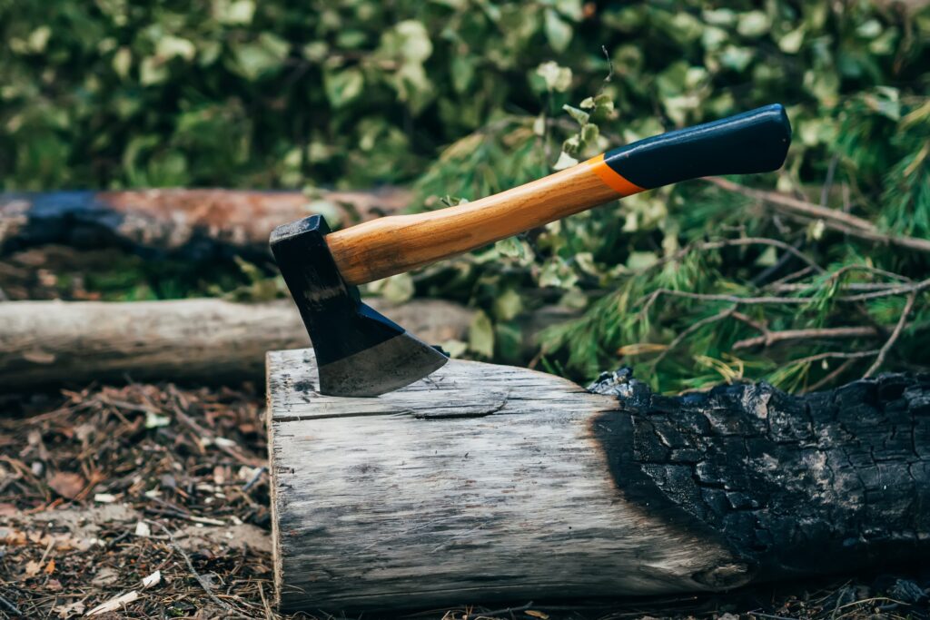 Axe impaling a piece of burnt wood with bushes in the background.