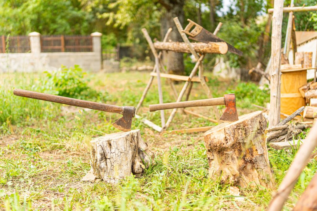 Two axes stuck in tree stumps in an outdoor setting.