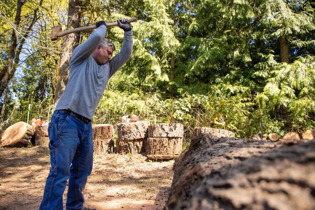 A man chops wood in a forested area, surrounded by wood stumps.