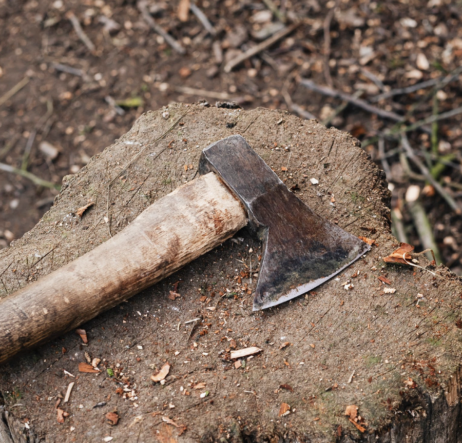 An axe on a tree stump in the woods.