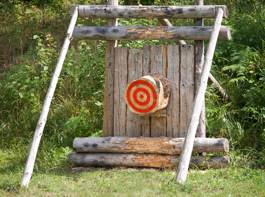 An outdoor wooden bullseye. The bullseye is painted red onto a tree stump.